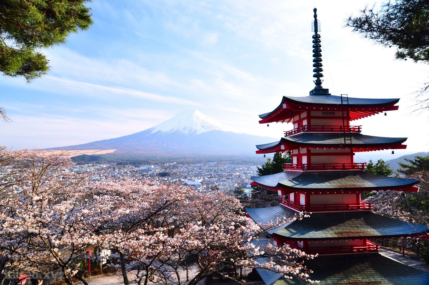 Học tiếng Nhật với người Nhật khi đi du lịch Nhật Bản