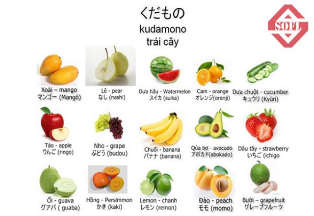 Tìm hiểu về các loại trái cây trong tiếng Nhật