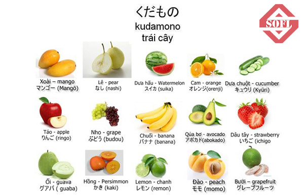 tên các loại trái cây bằng tiếng nhật